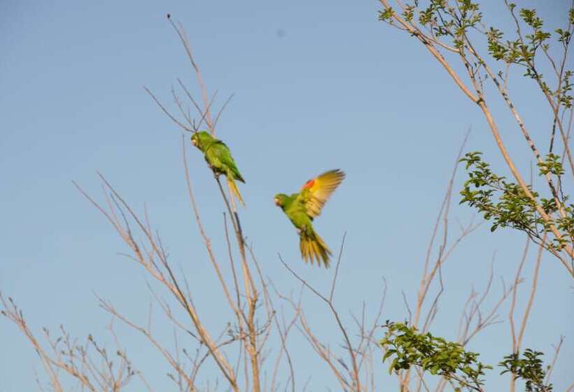 Отель Pousada Estação Das Flores