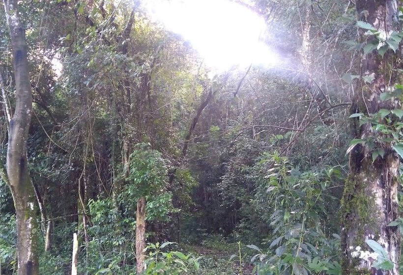 Отель Pousada Estação Das Flores