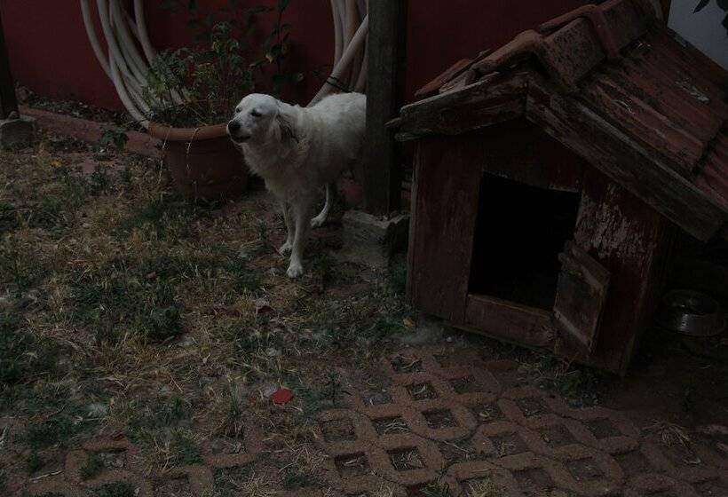 Отель Sile Dikcati Pansiyon