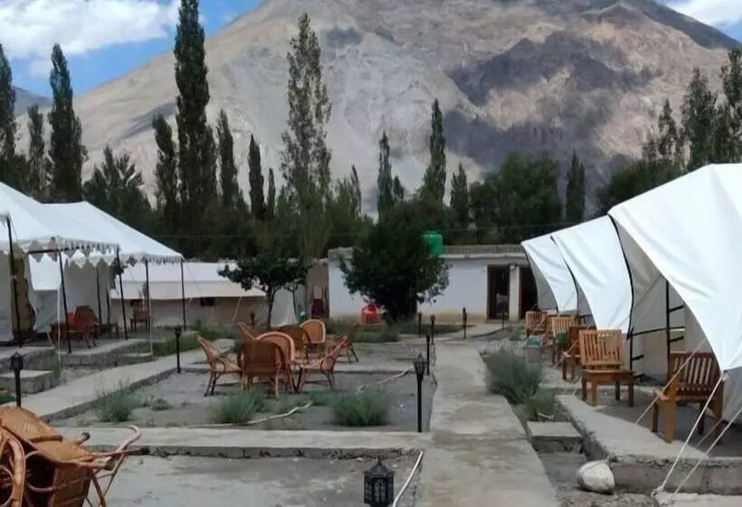 ホテル Sun And Sand Camp