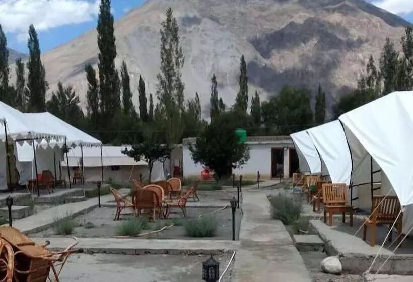 ホテル Sun And Sand Camp