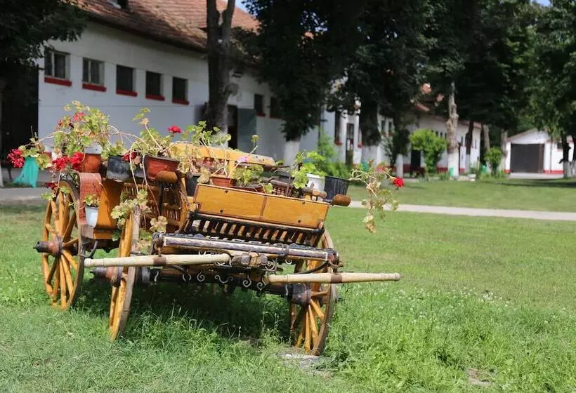 Miznah Hotels & Resorts