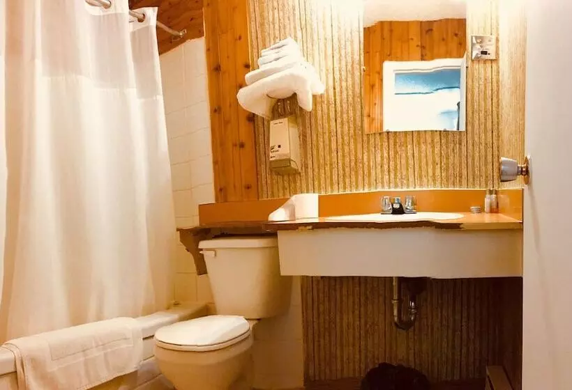 Motelli Sharptail Motor