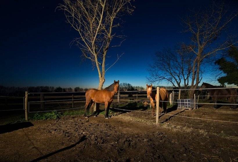 پانسیون Chambres D Hôtes Mas D Eymard