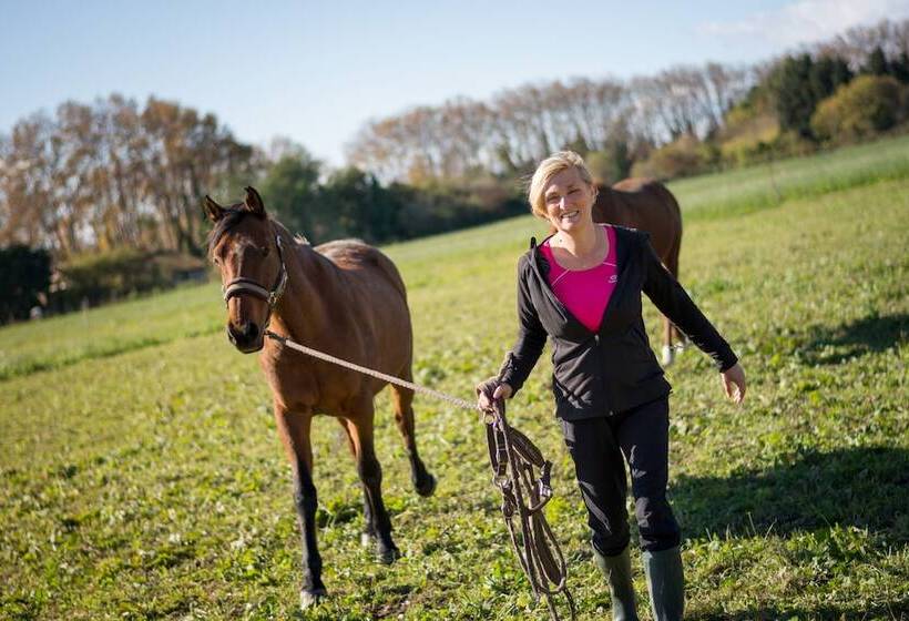 پانسیون Chambres D Hôtes Mas D Eymard