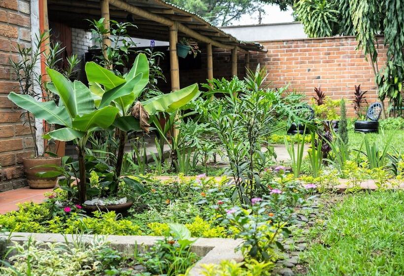 פנסיון Guest House Poblado