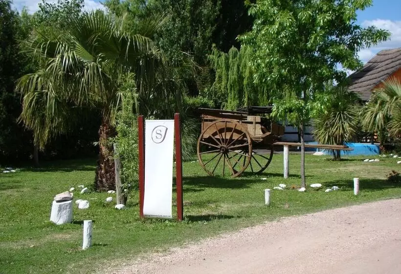 Sangiovese Club House