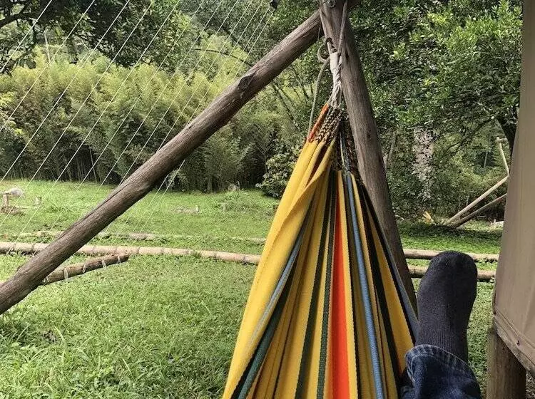 Selvaviva Hotel Boutique   Glamping