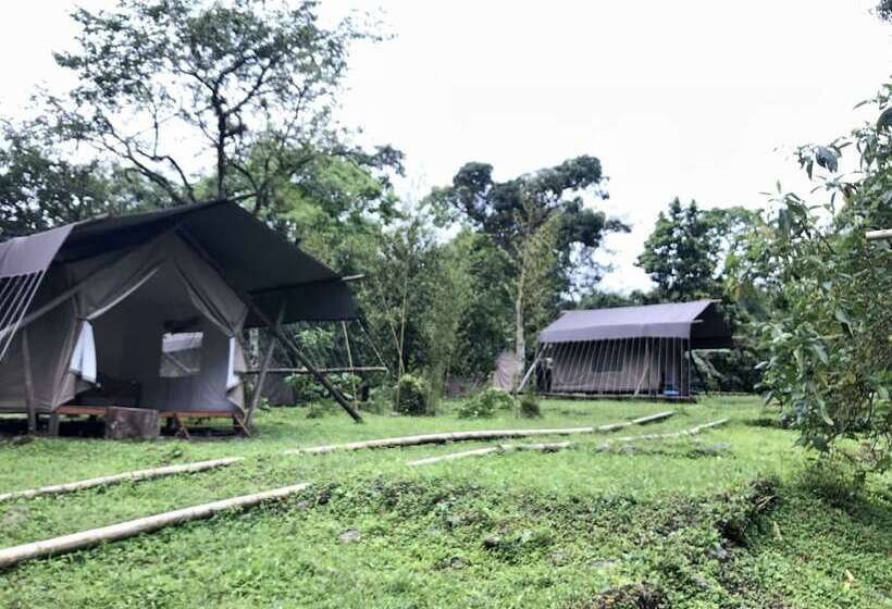 Selvaviva Hotel Boutique   Glamping