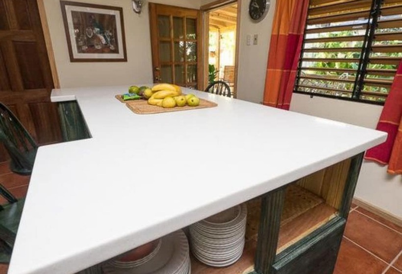 Willard S Bed And Breakfast