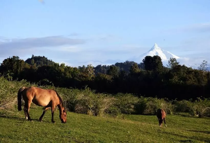 Yurt In Puyehue With Volcano Views