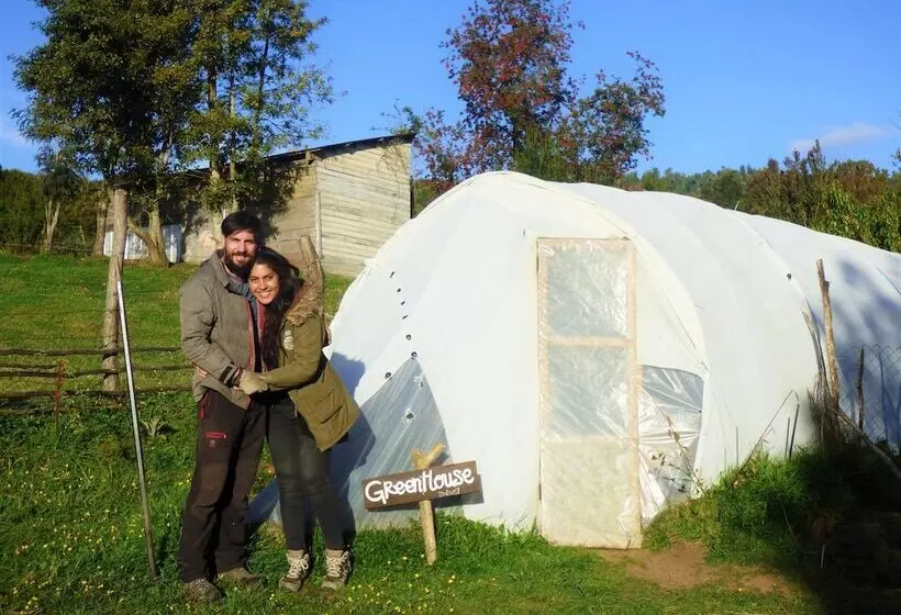 Yurt In Puyehue With Volcano Views
