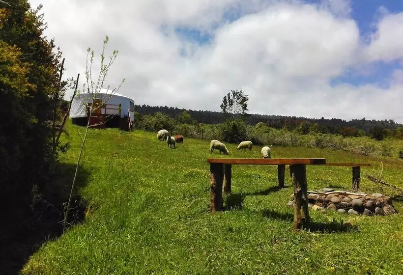 Yurt In Puyehue With Volcano Views