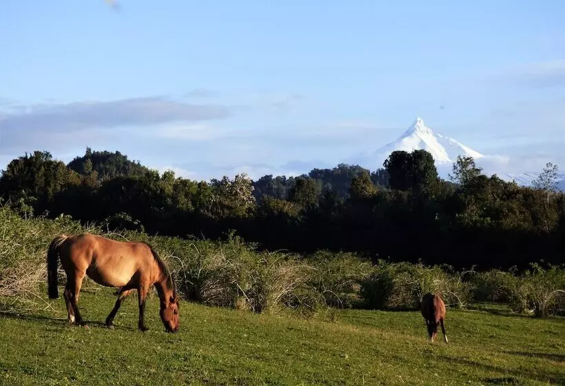Yurt In Puyehue With Volcano Views