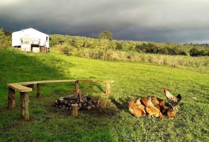 Yurt In Puyehue With Volcano Views