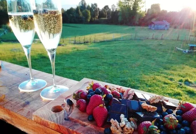 Yurt In Puyehue With Volcano Views