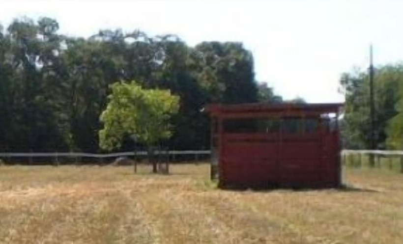 مبيت وإفطار Grandeur Farm Equine Retreat