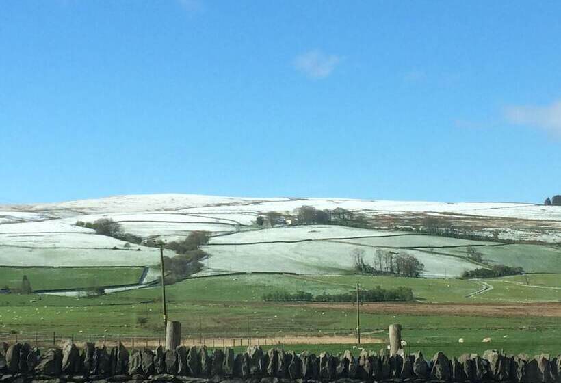 Hostelli Y Giler Arms