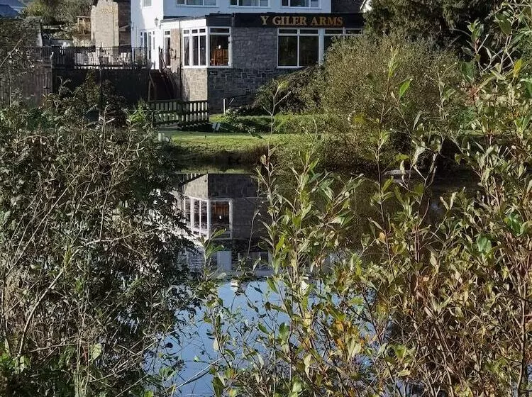 簡易ホテル Y Giler Arms