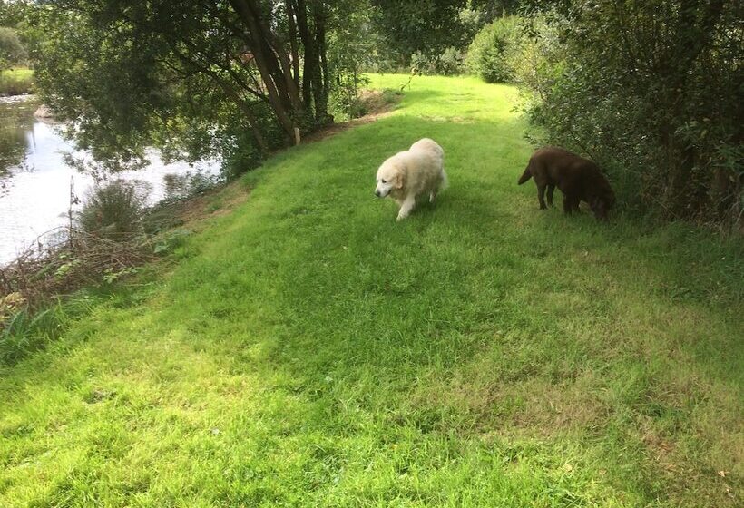 Hostelli Y Giler Arms