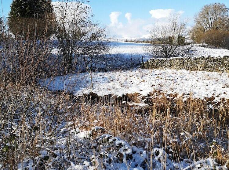 Hostelli Y Giler Arms