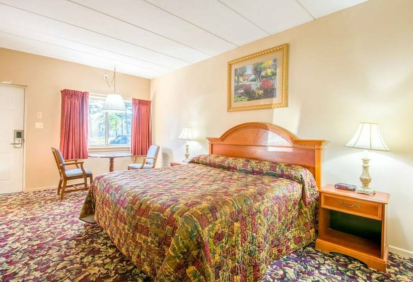 בית מלון כפרי Bay Harbour Motor Lodge