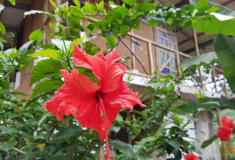 ホテル Posada Turistica Dantayaco