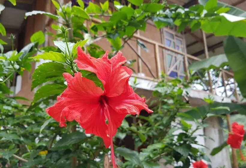 Hotelli Posada Turistica Dantayaco