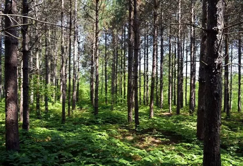 ホテル Still Point Lodge