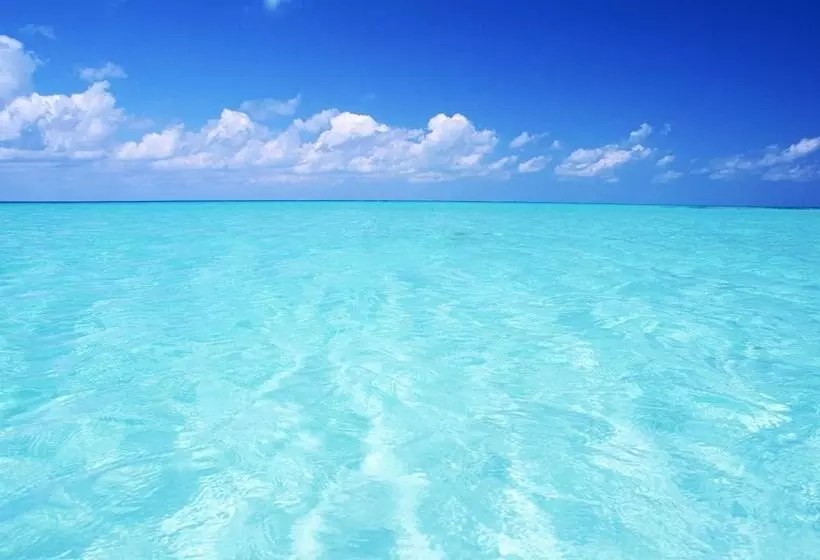 Hotelli Tropical Dreams   Sarasota Condos Near Siesta Key