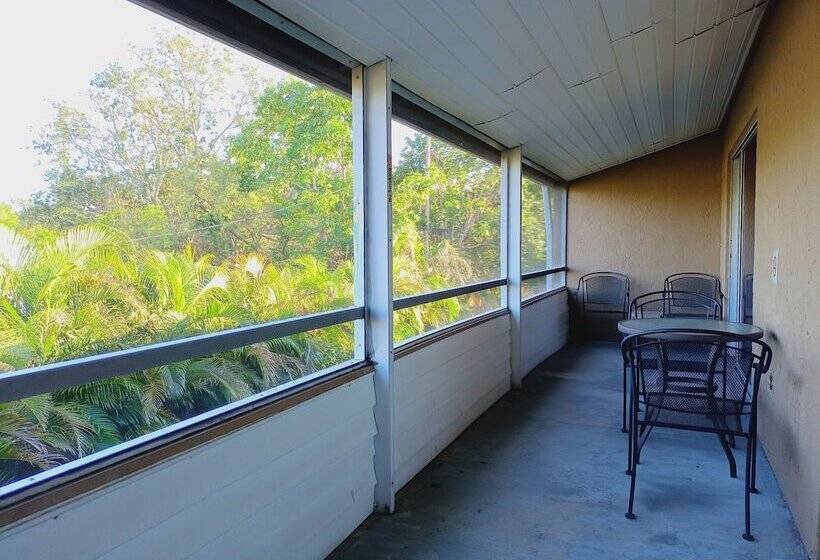 호텔 Tropical Dreams   Sarasota Condos Near Siesta Key