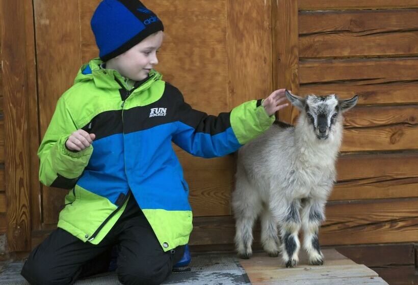 膳宿费 Baikalyeti