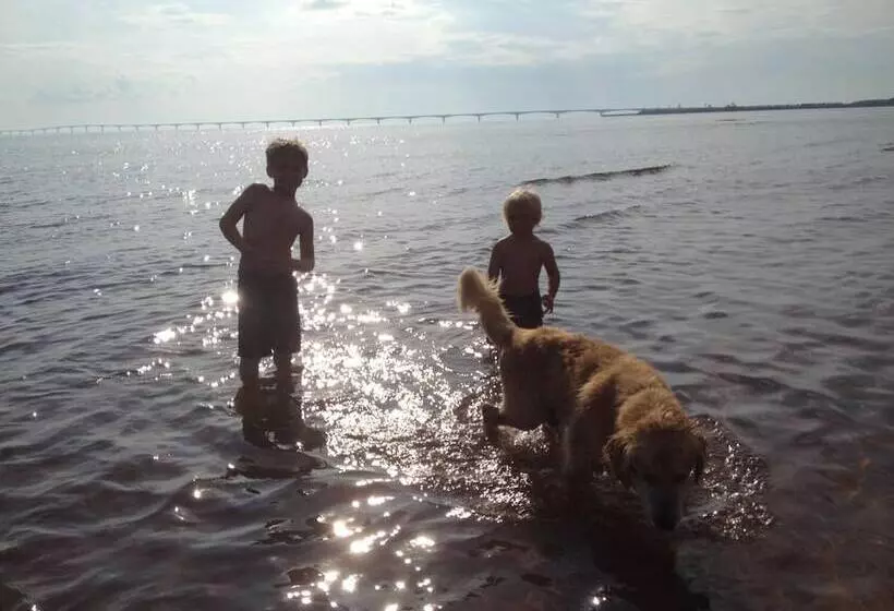 Amherst Cove Cottages