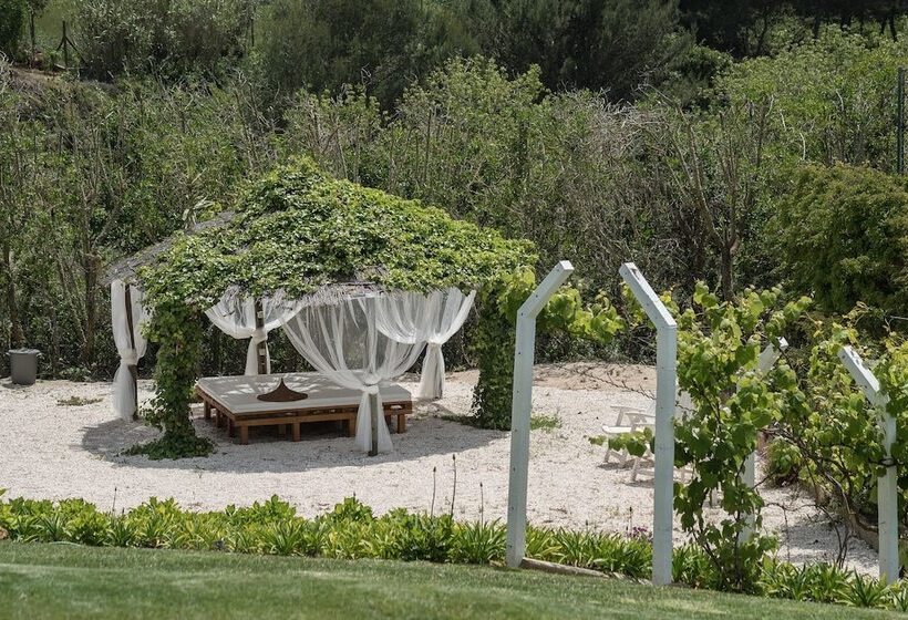 Ericeira Villa Surf Camp Hostel