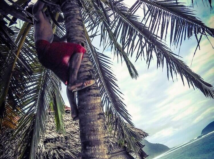 هتل Faofao Beach Fales