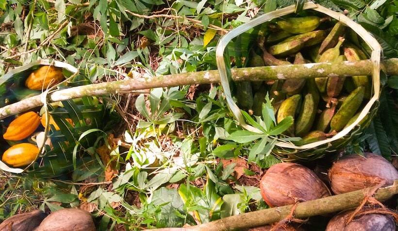 هتل Faofao Beach Fales