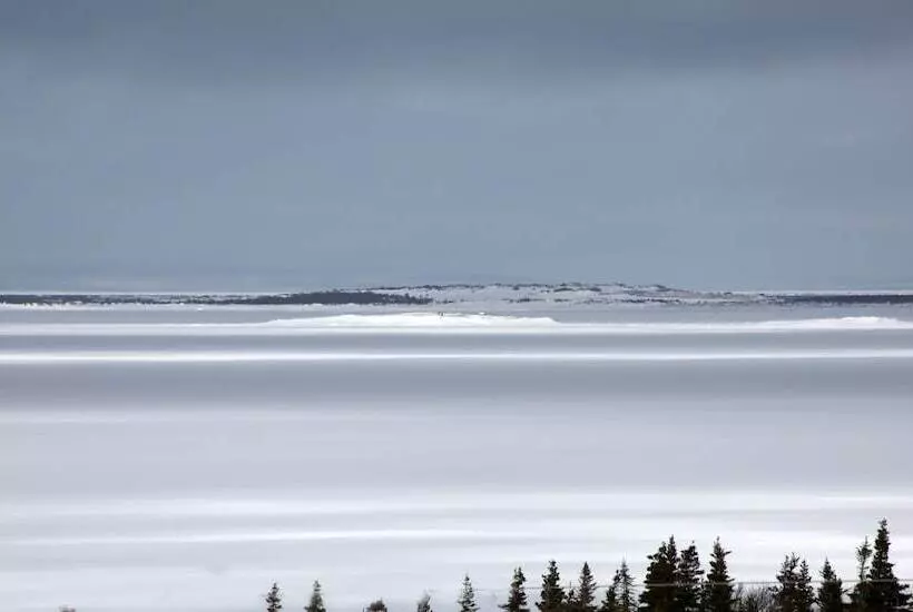 ホテル Genevieve Bay Inn