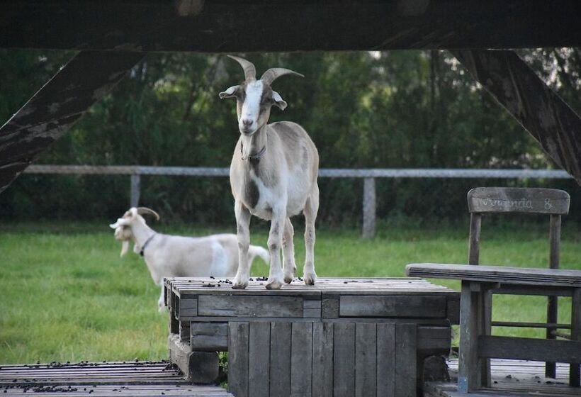 호텔 Gesundheitshof Denker