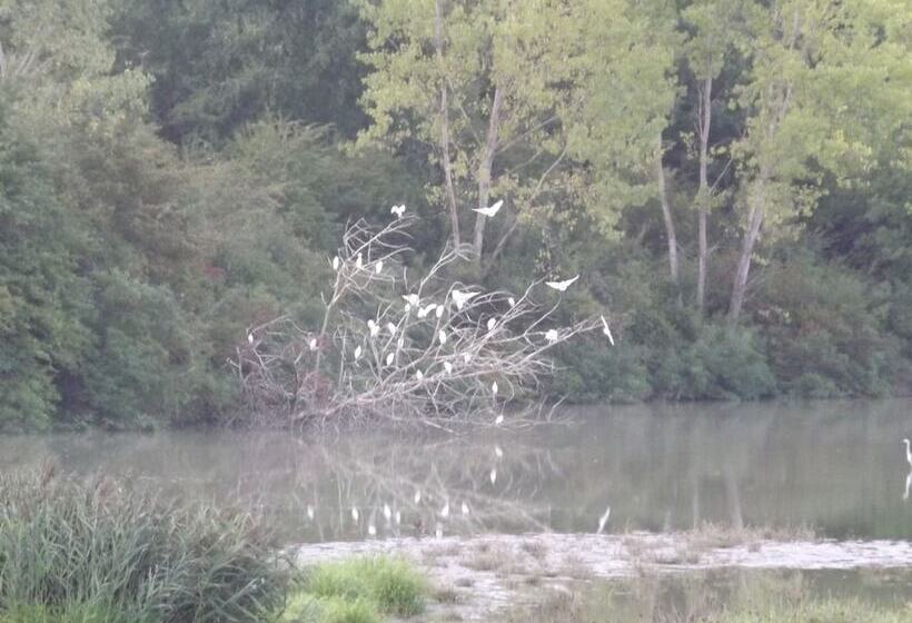 Hotel wiejski Tenuta I Lecci Di Gurian Roberta Maura