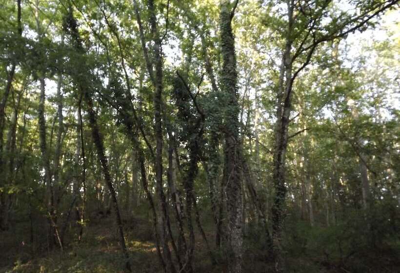 Hotel wiejski Tenuta I Lecci Di Gurian Roberta Maura