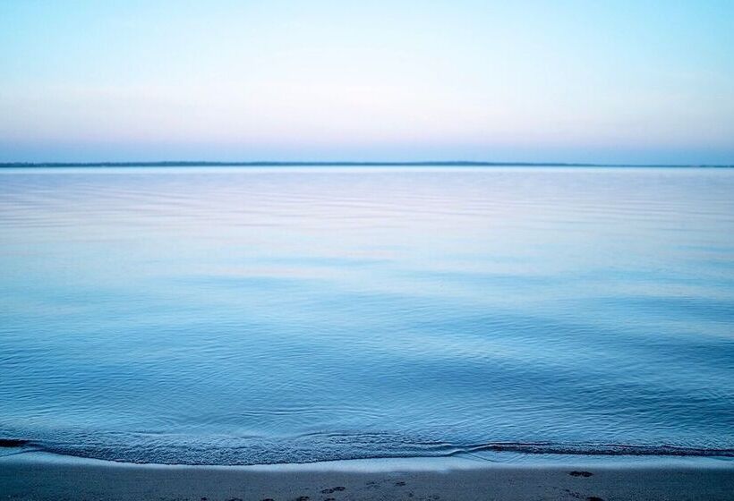 Hotel Ruttger S Birchmont Lodge