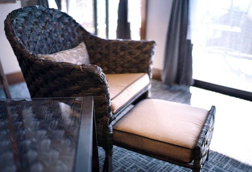 Hotel Ruttger S Birchmont Lodge