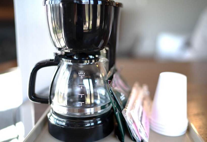 Hotel Ruttger S Birchmont Lodge