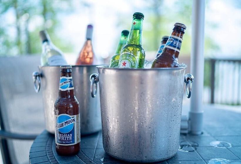 Hotel Ruttger S Birchmont Lodge