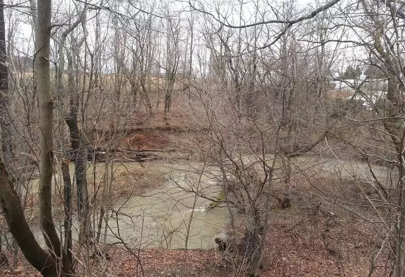 モーテル Chaffee Lodge