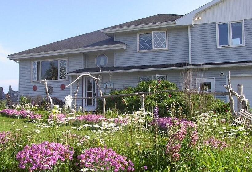 Pension Moonlight Beach Suites