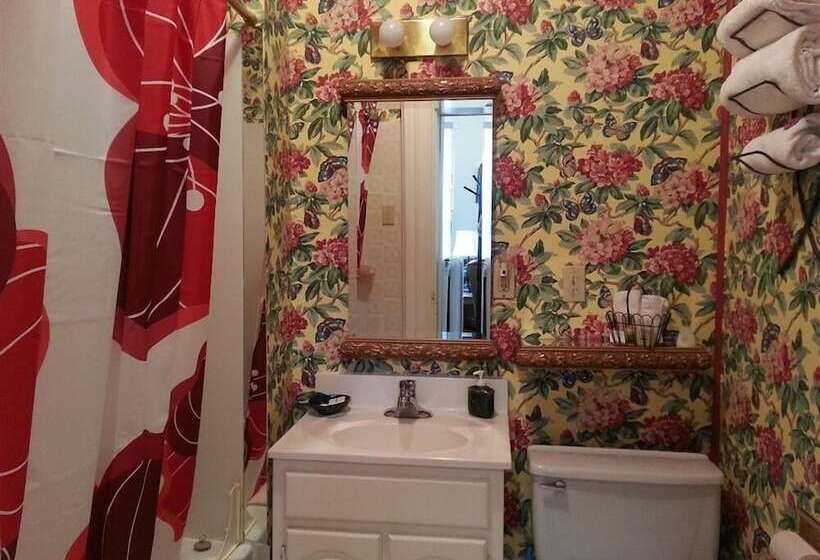 بنسيون The Dufton House