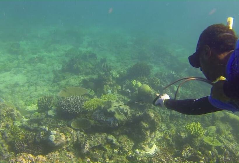 פנסיון Yasawa Homestays