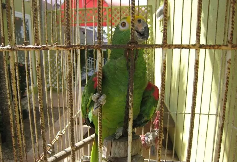 Alablanca Apartments, Residents Inn