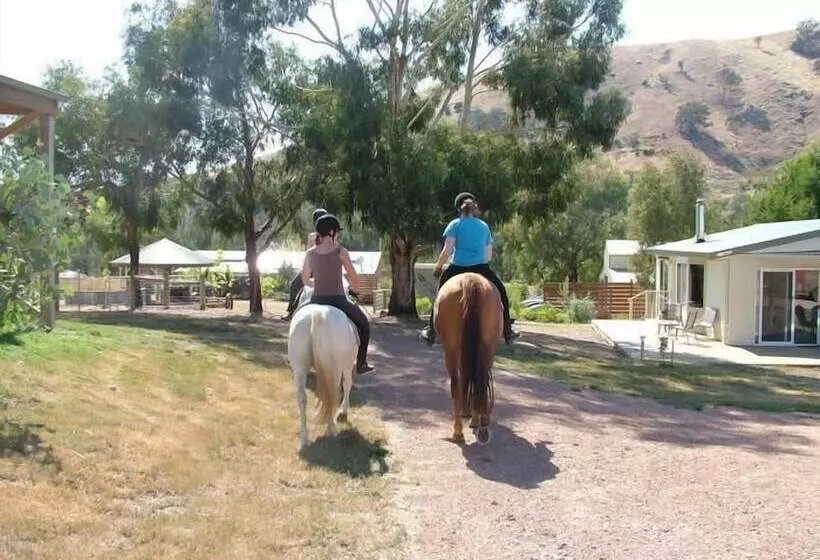 Berner B&b, Halls On Falls Homestead